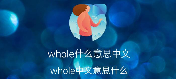 whole什么意思中文 whole中文意思什么